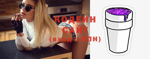 стаф Арсеньев