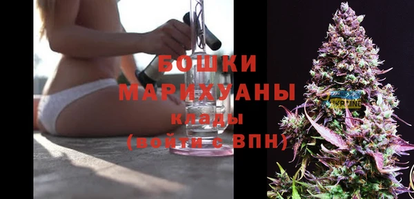 стаф Арсеньев